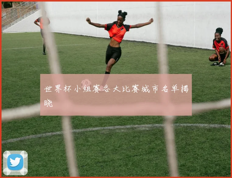 世界杯小组赛各大比赛城市名单揭晓