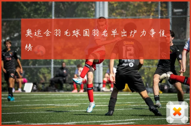 奥运会羽毛球国羽名单出炉力争佳绩